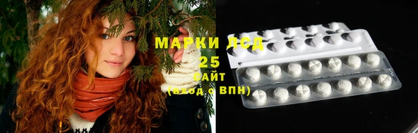 стаф Богданович