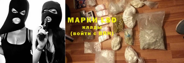 стаф Богданович