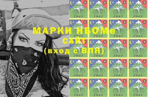стаф Богданович