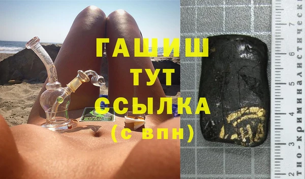стаф Богданович