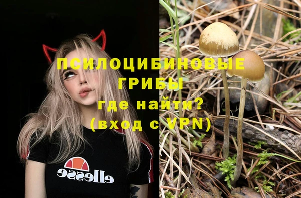 МДМА Богородицк