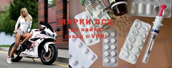 стаф Богданович