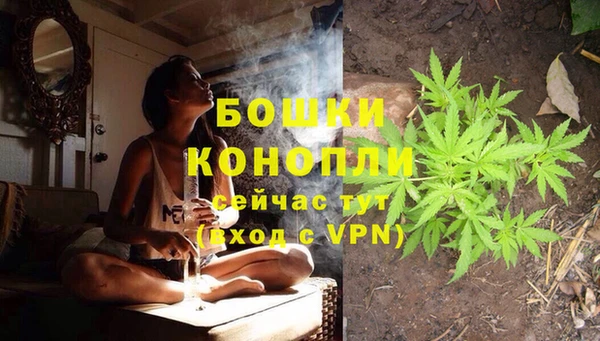 стаф Богданович
