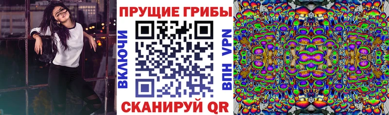 Псилоцибиновые грибы прущие грибы  где можно купить наркотик  Казань 