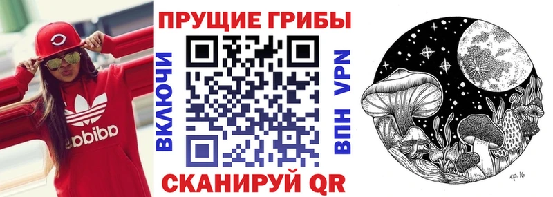 Псилоцибиновые грибы прущие грибы Казань